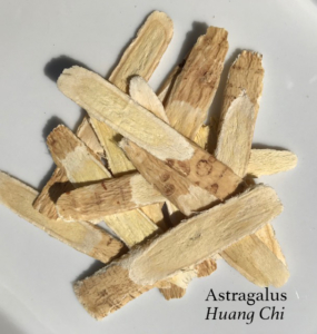 Astragalus